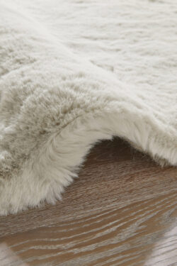 Alternative view of HEA101 DOVE