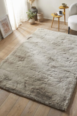 Shaggy Rugs