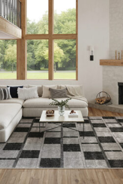 Alternative view of NRC09 GREY BLACK