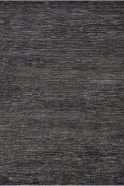 Alternative view of OCS01 ONYX