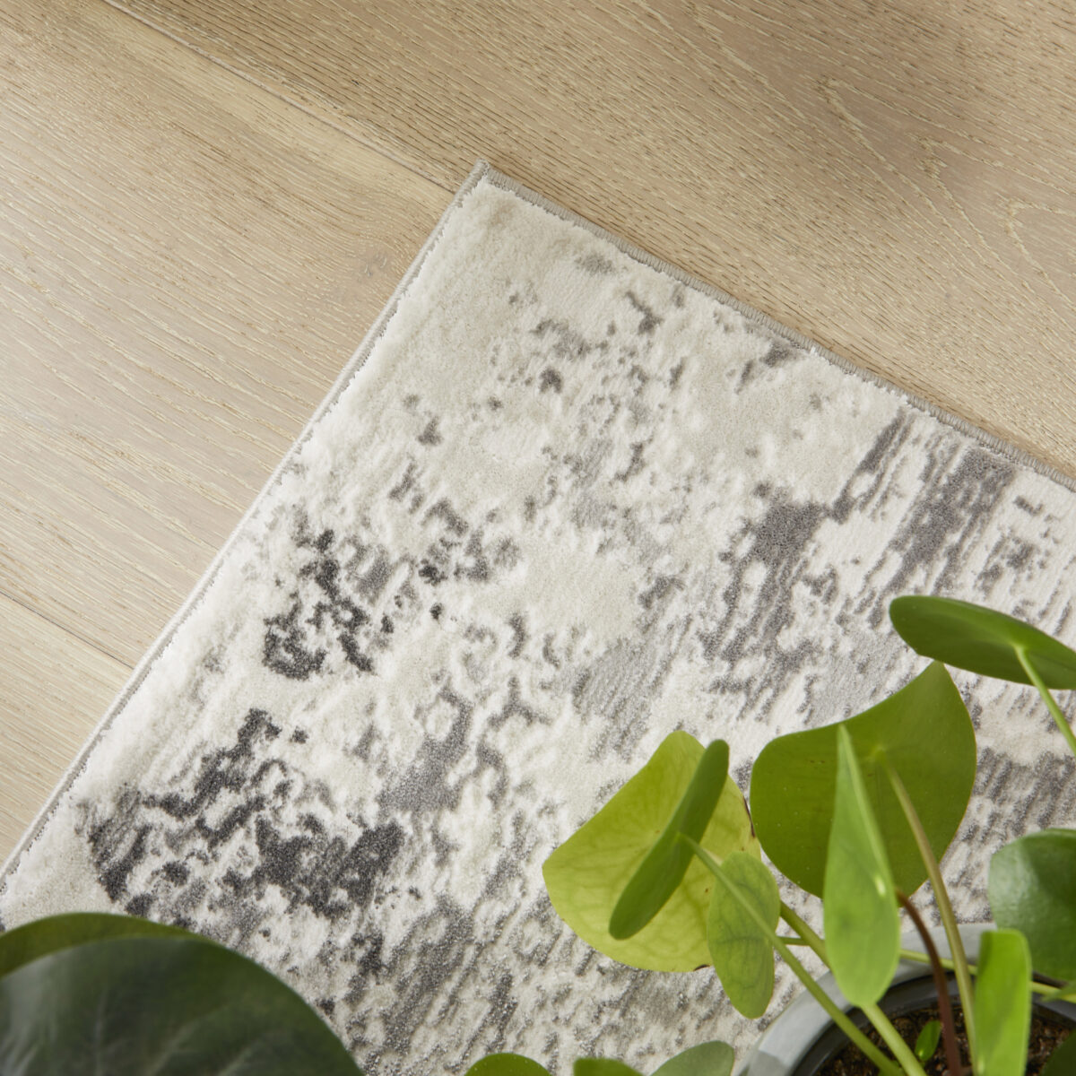 OLI105 GREY - Image 7