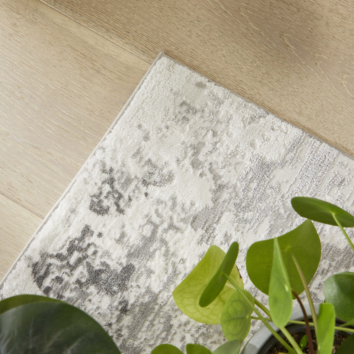 OLI105 GREY - Image 8