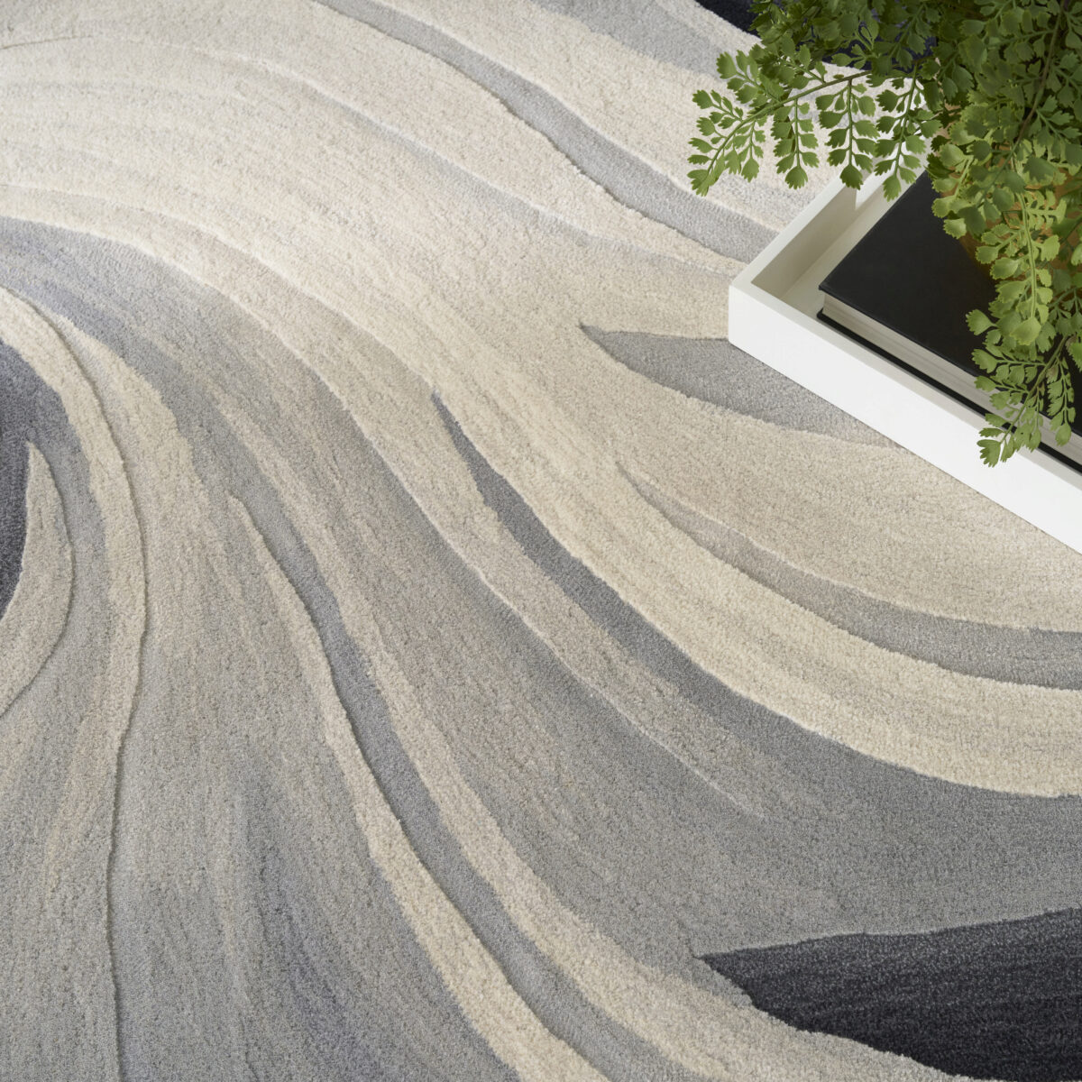 PRS41 IVORY BLACK - Image 3