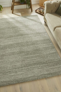 Alternative view of SOM101 SAGE