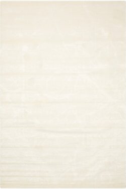 Alternative view of TWI09 IV